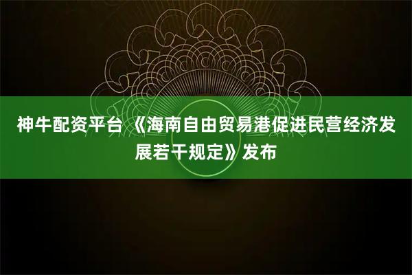 神牛配资平台 《海南自由贸易港促进民营经济发展若干规定》发布