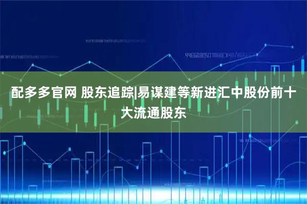 配多多官网 股东追踪|易谋建等新进汇中股份前十大流通股东