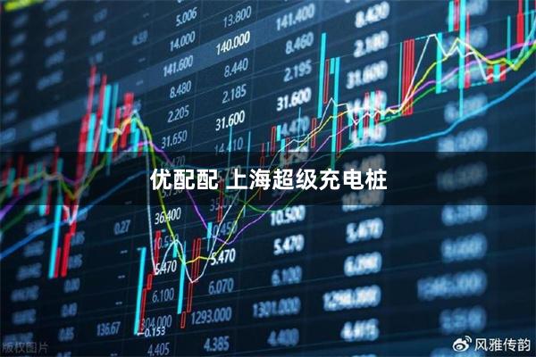 优配配 上海超级充电桩