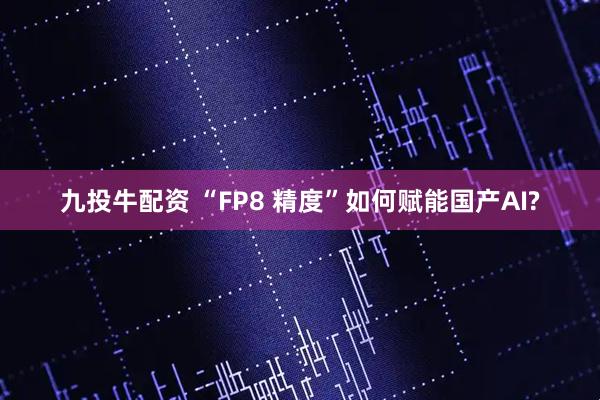 九投牛配资 “FP8 精度”如何赋能国产AI?